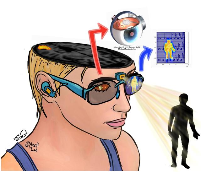 我眼前是一幅动听的画面