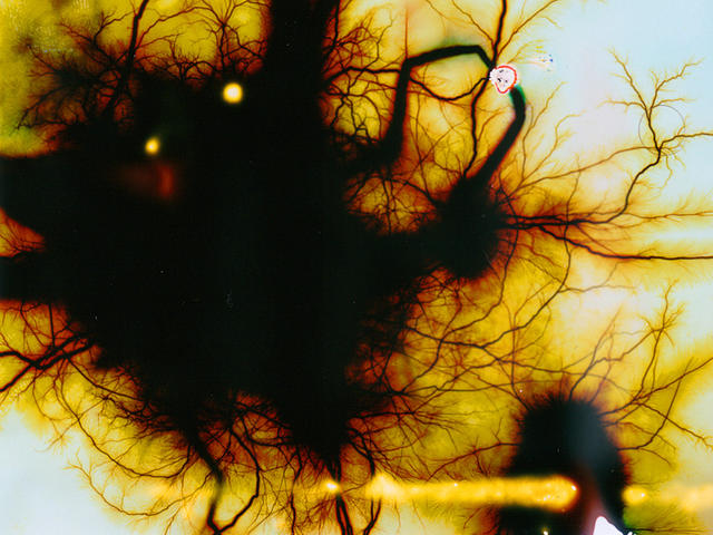 【科学美图】没被高压电劈过的胶片不是好画布