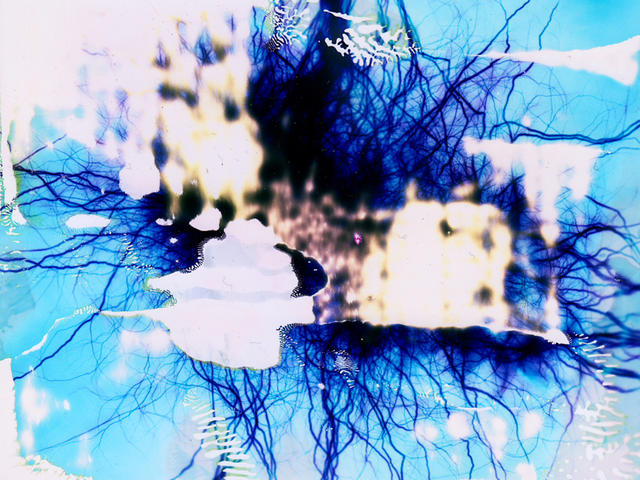 【科学美图】没被高压电劈过的胶片不是好画布