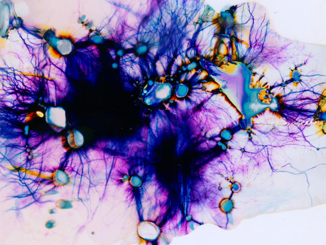 【科学美图】没被高压电劈过的胶片不是好画布