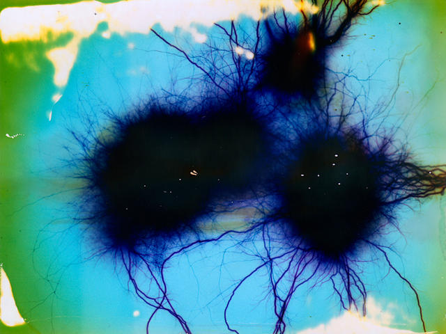 【科学美图】没被高压电劈过的胶片不是好画布