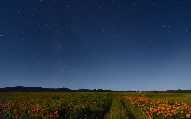 【科学美图】璀璨星空在中国