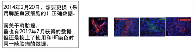 小保方晴子涉嫌学术不端事件最终调查结果公布！