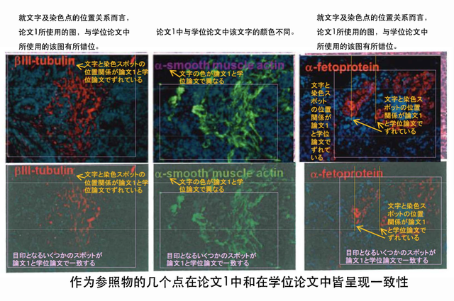 小保方晴子涉嫌学术不端事件最终调查结果公布！
