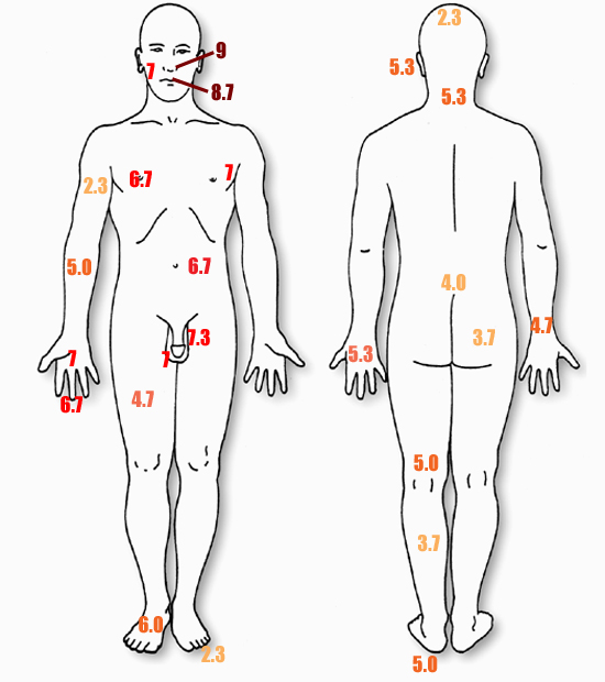亲身经历告诉你，被蜜蜂螫哪里最疼！