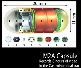 3分钟泡的方便面32小时都不能消化？