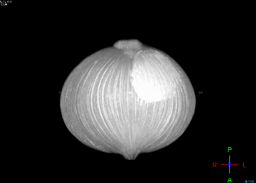 科学家也在玩：给蔬菜和水果做核磁共振