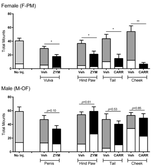 如果痛，做不做：疼痛会削弱雌性性欲，雄性不受影响