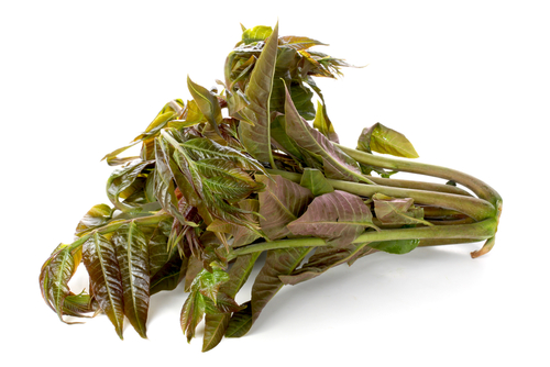 亚硝酸盐阴影，香椿美味中的小插曲