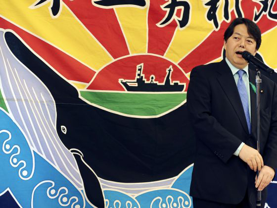 日本仍将继续其太平洋捕鲸行为