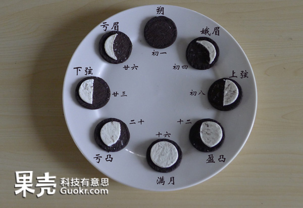 月圆之夜，动物们都会做什么？