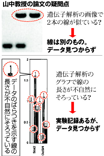 山中伸弥就14年前论文问题公开致歉，并否认存在捏造