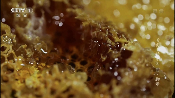 蜜蜂会发现蜜没了吗？