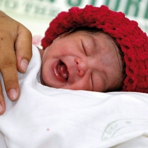 戴尼卡 ? 梅 ? 卡马乔（B. MARQUEZ/AP/nature.com）