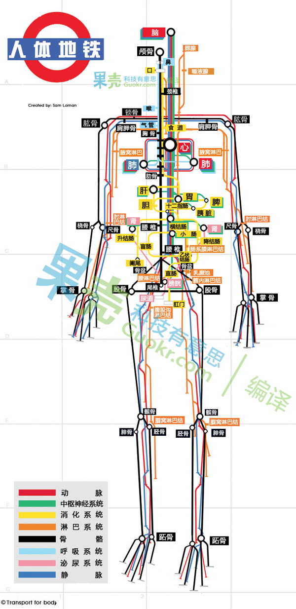 图片信息：Sam Loman。
