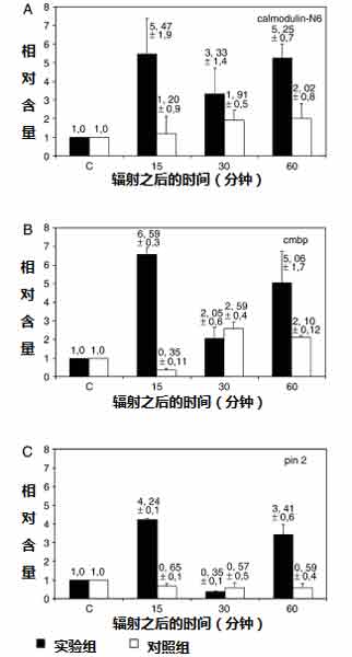 三种应激基因在辐射停止之后 随时间变化的表达量示意图。[3]