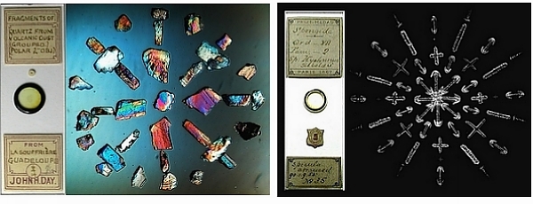 两个显微工艺载片。每幅图的左边是实物，右边是显微镜下的放大图像（经过摄影处理）。这两幅载片，左边用的材料是火山灰，右边则是硅藻。