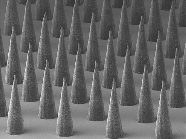 微针疫苗 （作者：PETER DEMUTH）