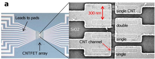 IBM的技术可以在两个电触头之间排列单个或一对碳纳米管。碳纳米管连接两端的源极和漏极，是制造晶体管最基本的部分。