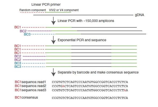 肠子里的生物能活多少年？