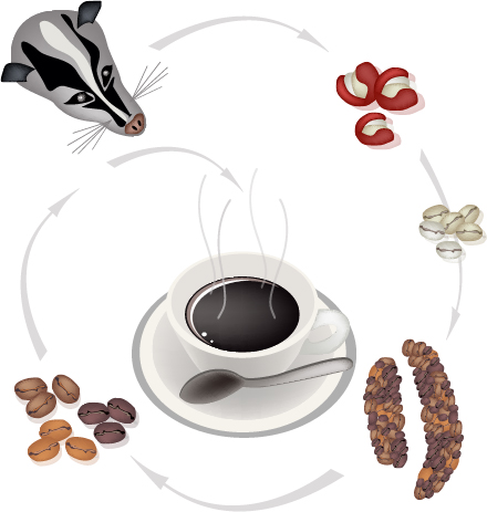 “猫屎咖啡，这屎玩意儿真不值那么多钱！”