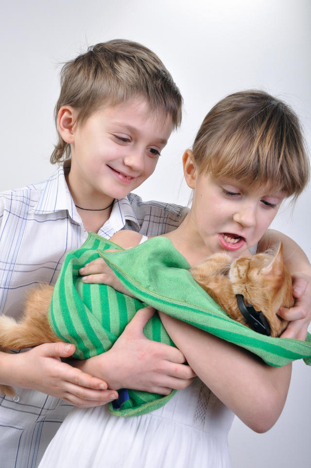 喵星人和它们的奴隶们，不得不说的秘事