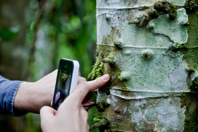 美丽+诡异：亚马逊的神秘“网塔”