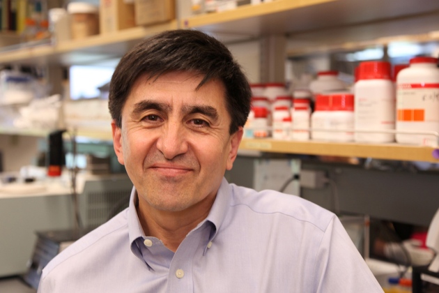 《自然》杂志2013年度十大人物