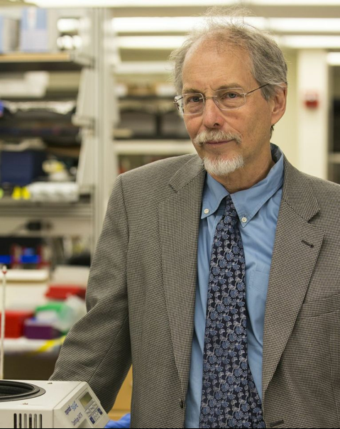 七年磨一剑：人工合成真核染色体！