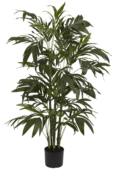 据美国宇航局说，这15种植物最能净化室内空气