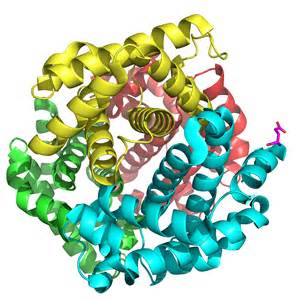 疟疾如何改变人类历史的走向