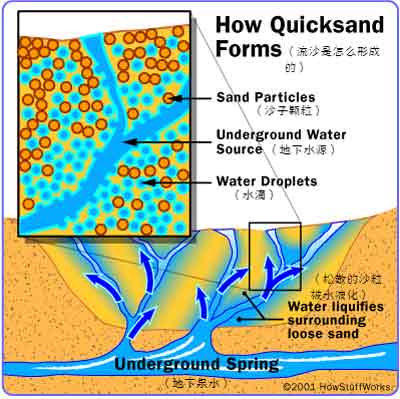流沙的形成：地下水对沙粒的液化作用。图片来自：howstuffworks.com