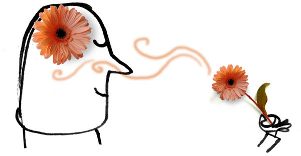 图片来源：http://duriansite.com