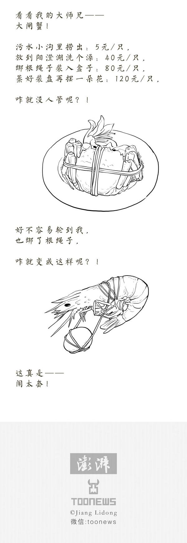TooNews | 来自青岛大虾的控诉