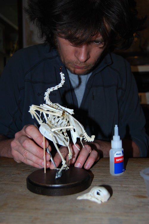 没有羽毛，鸟一样好看：果壳网专访插画师卡特里娜·范格鲁