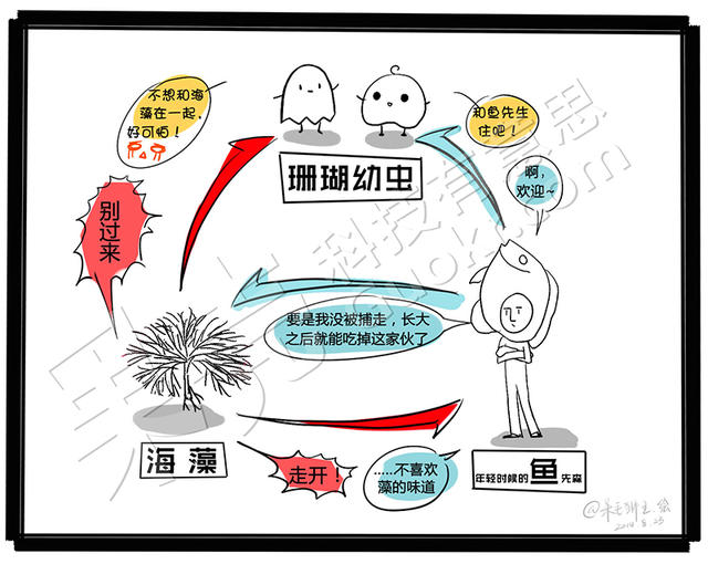 【论文故事】海藻：霸占珊瑚礁，赶跑珊瑚虫