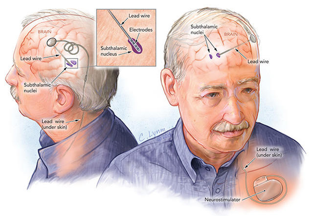 2014年拉斯克奖揭晓！