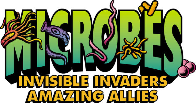 看不见的“房客”：从微生物上窥探房间里的秘密