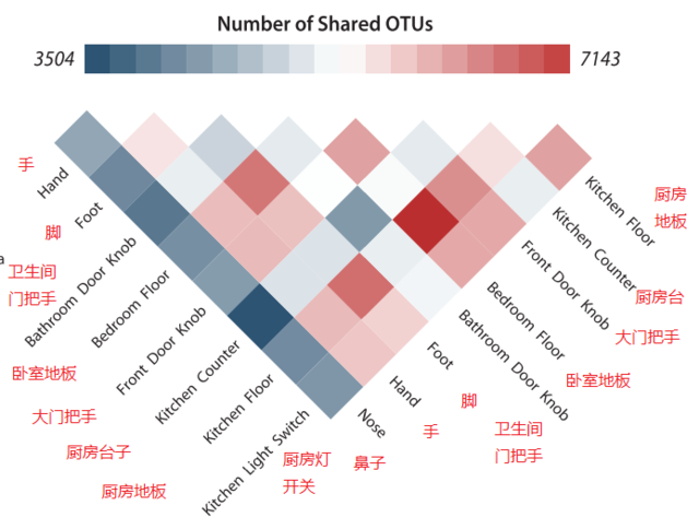 看不见的“房客”：从微生物上窥探房间里的秘密