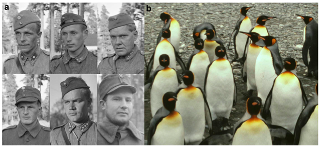 【论文故事】千人千面：人和人为什么长得那么不一样?