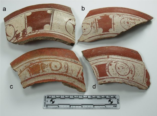 原始人的文化“屎”：从一块便便化石中能看出啥？