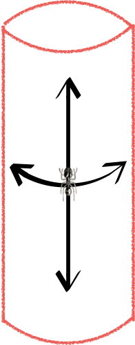 ant-on-a-cylinder-2.png