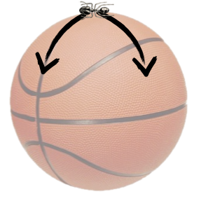 ant-on-a-ball-2.png