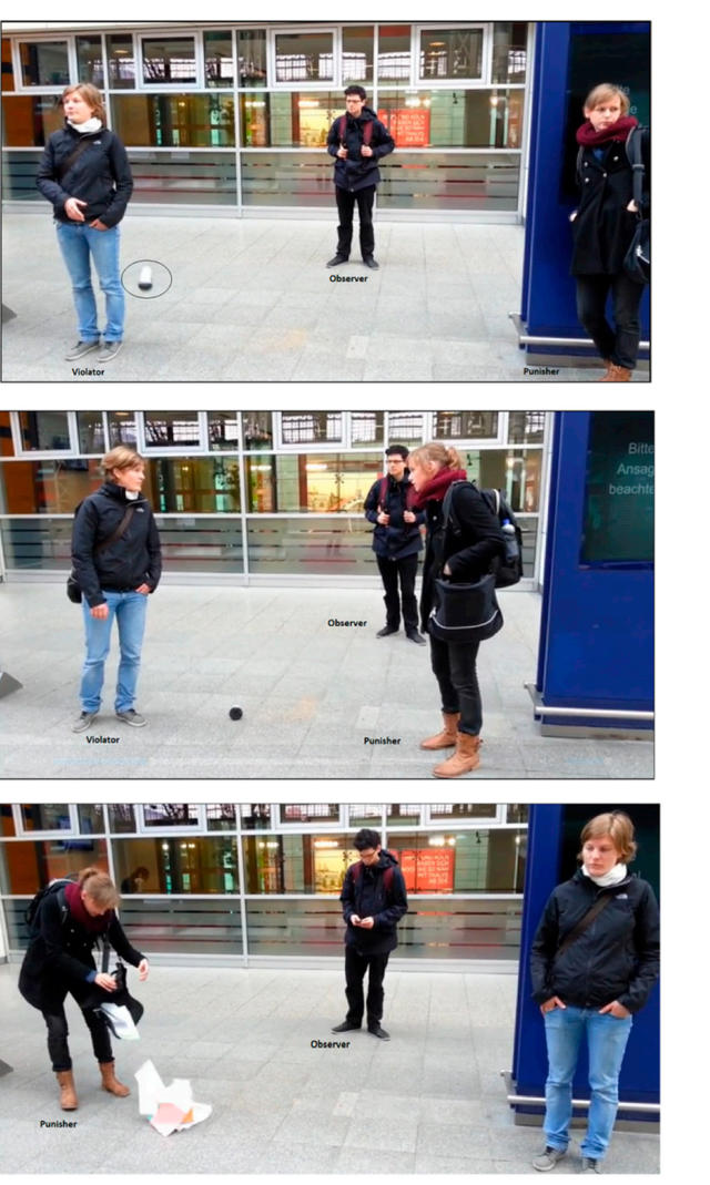 【论文故事】违反规则的人，被冷落多于被指责