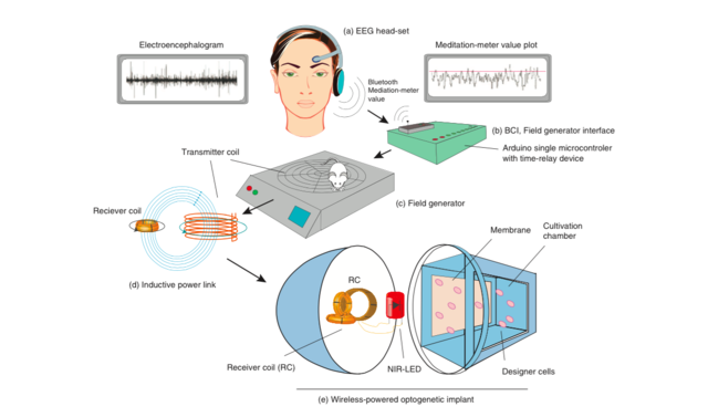 【论文故事】动动念头，就可以控制基因表达