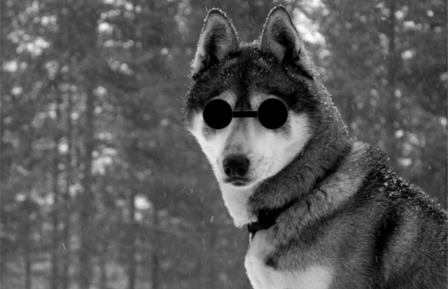 【2014星云奖】刘宇昆、竹人谈科幻人眼中的七十亿个未来