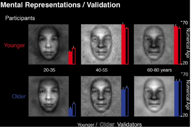 【论文故事】看脸识龄，姜还是老的辣
