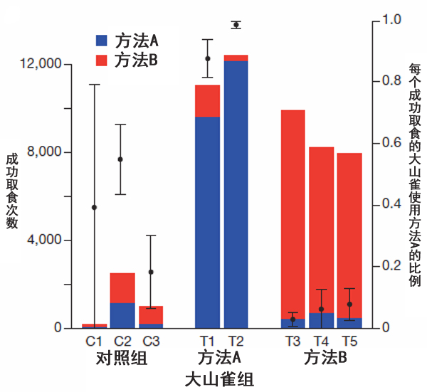 大山雀的文化传承：有样学样，紧跟主流