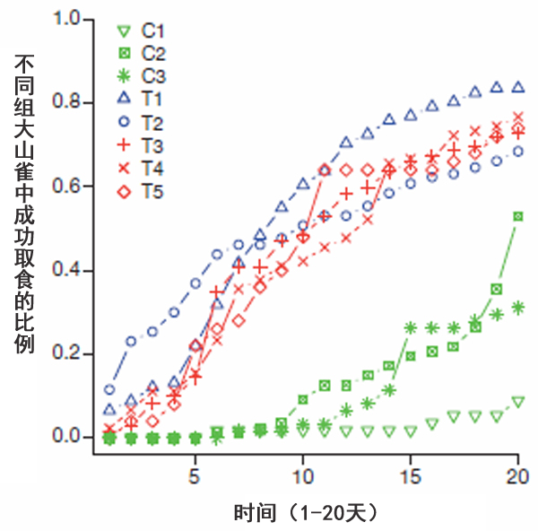 大山雀的文化传承：有样学样，紧跟主流