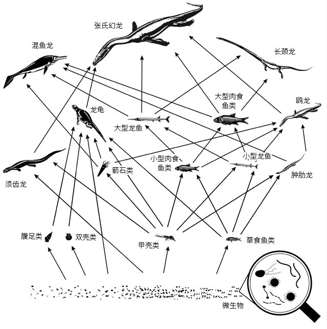 大下巴：三叠纪的海生顶级掠食者